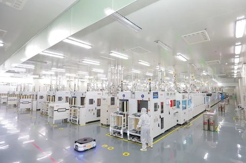納稅億元背后，這幾家東陽企業增長動能曝光